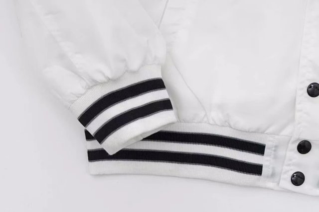 圖片_20250102232800