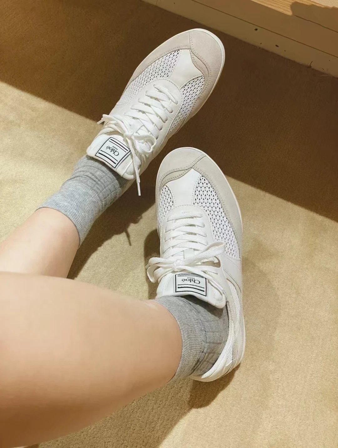 圖片_20250102233338