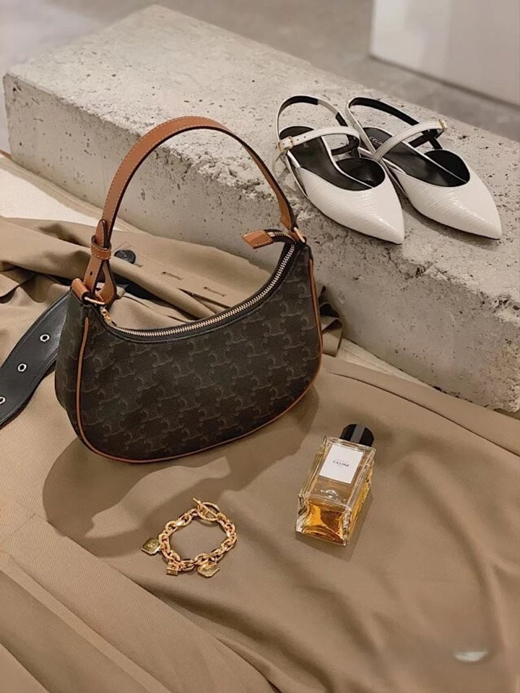 圖片_20241213165546