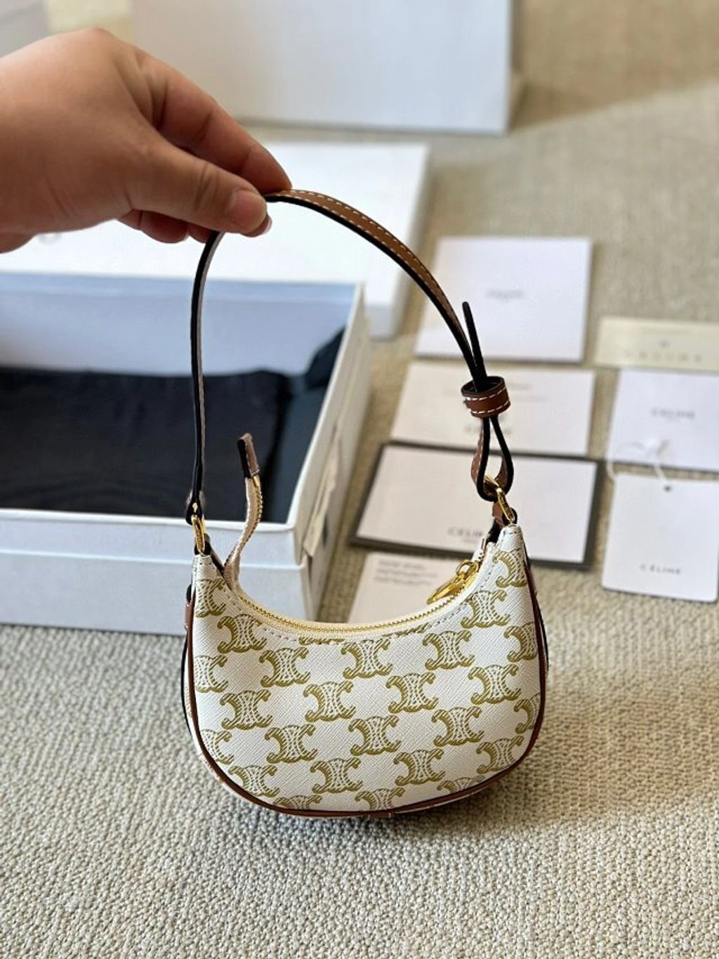 圖片_20241213165848