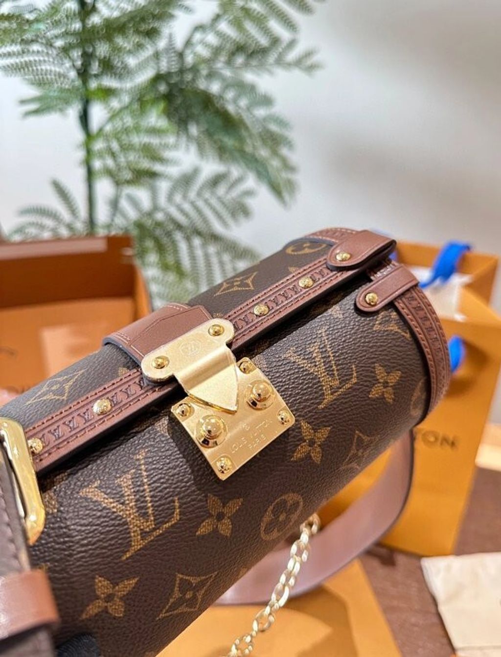 圖片_20241213181004