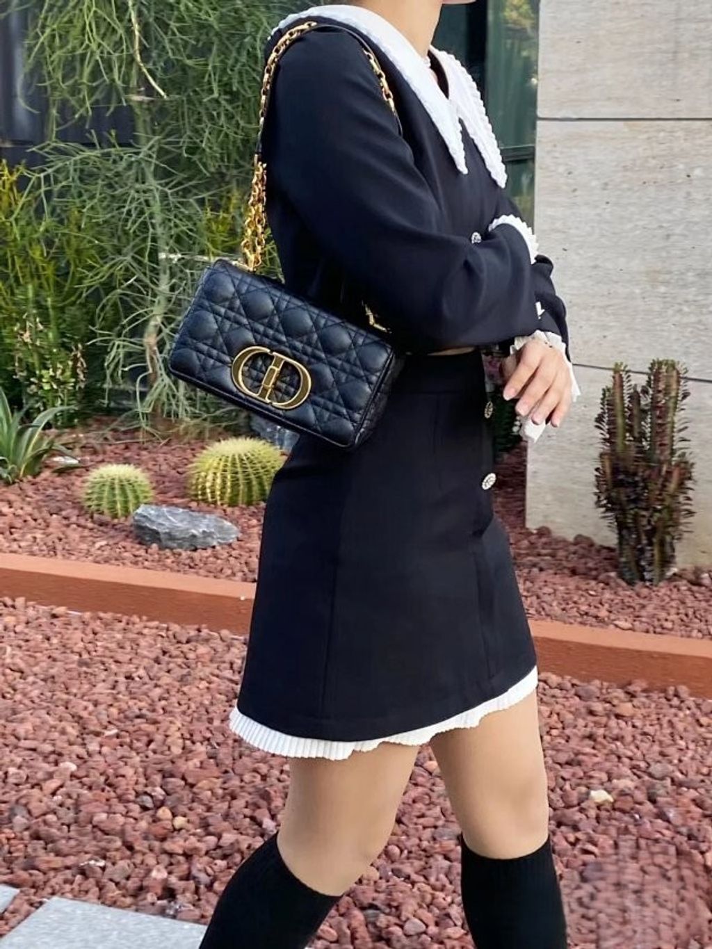 圖片_20241213193514