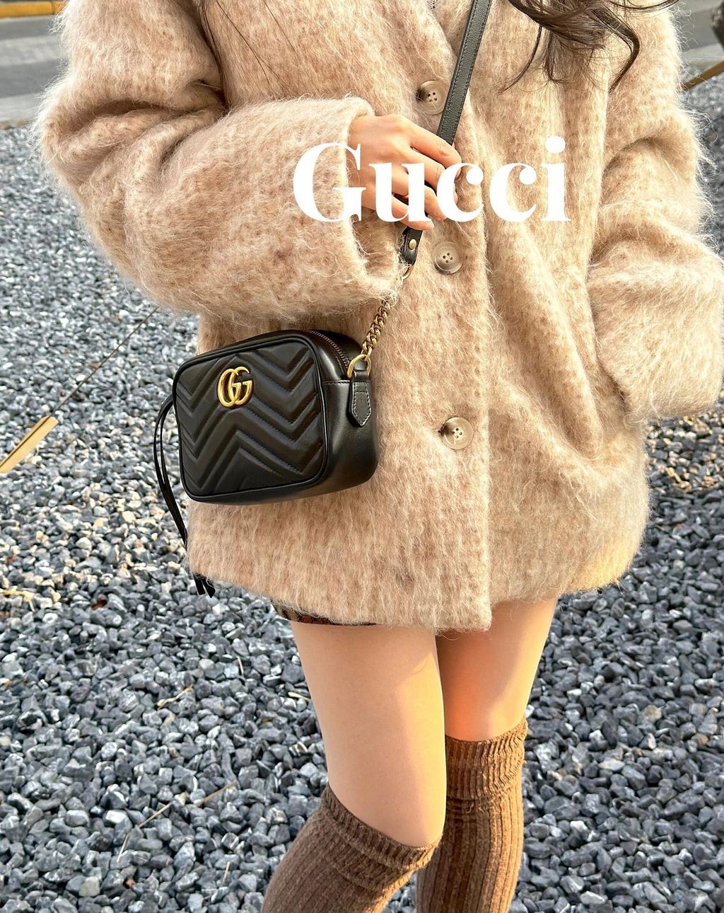 圖片_20241214224559