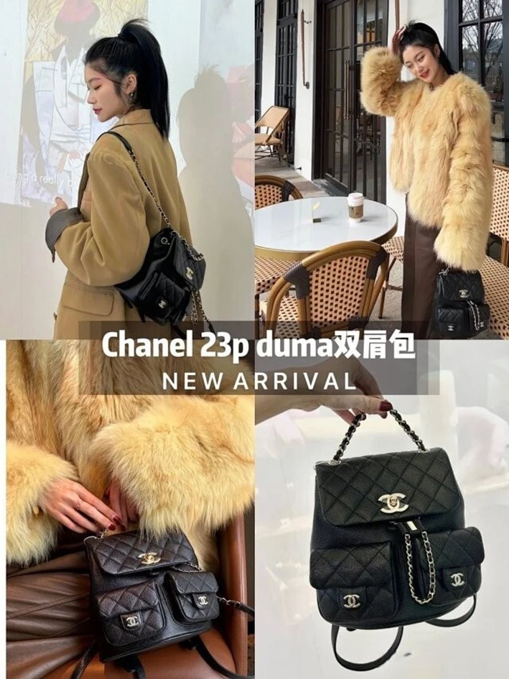 圖片_20241215231151