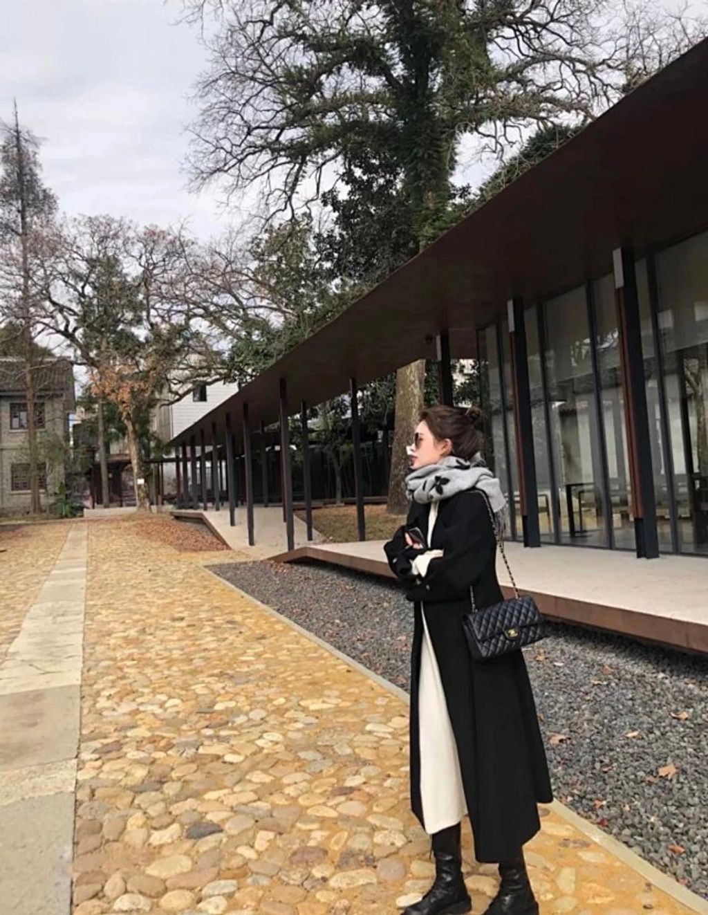 圖片_20241217171253