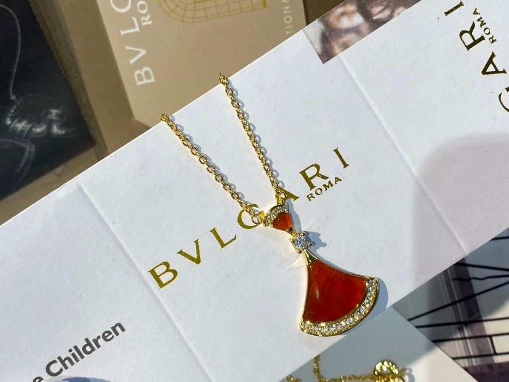 圖片_20241218223738