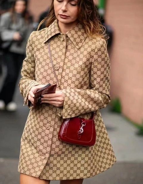 圖片_20241220142945