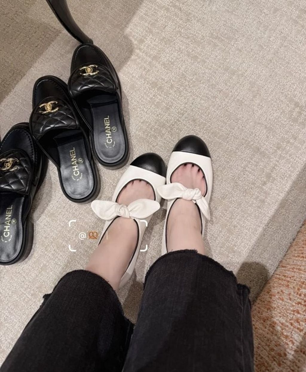 圖片_20241220195258