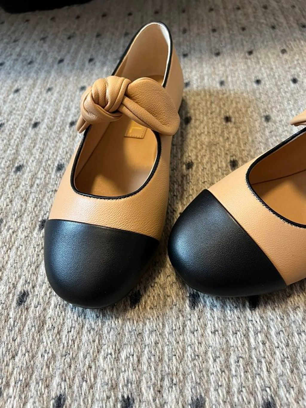 圖片_20241220195331