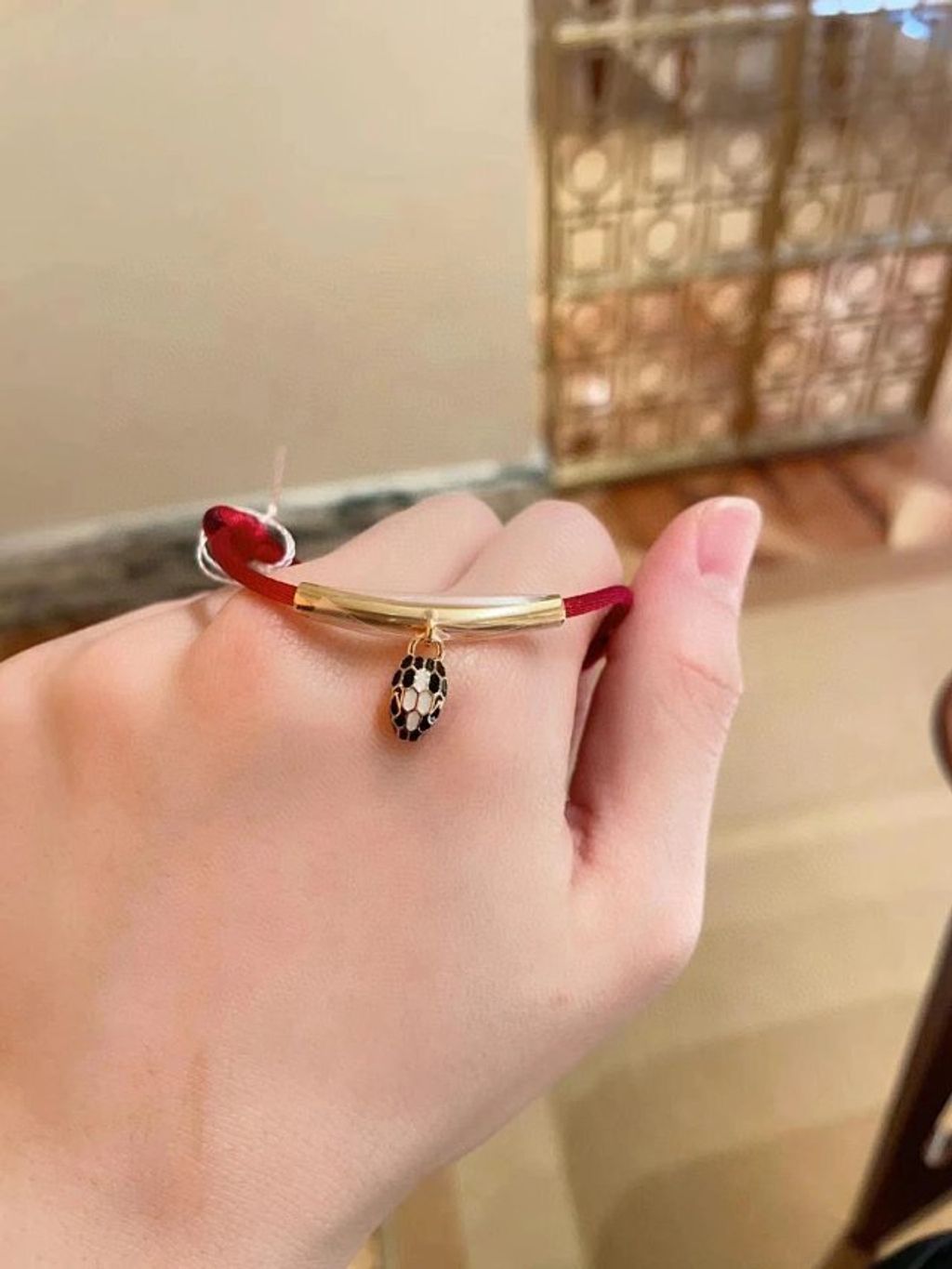 圖片_20250101220828