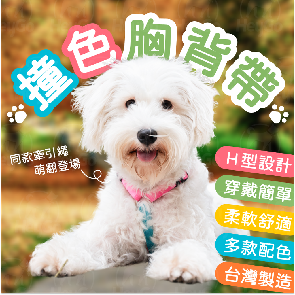 1_藍粉_H型