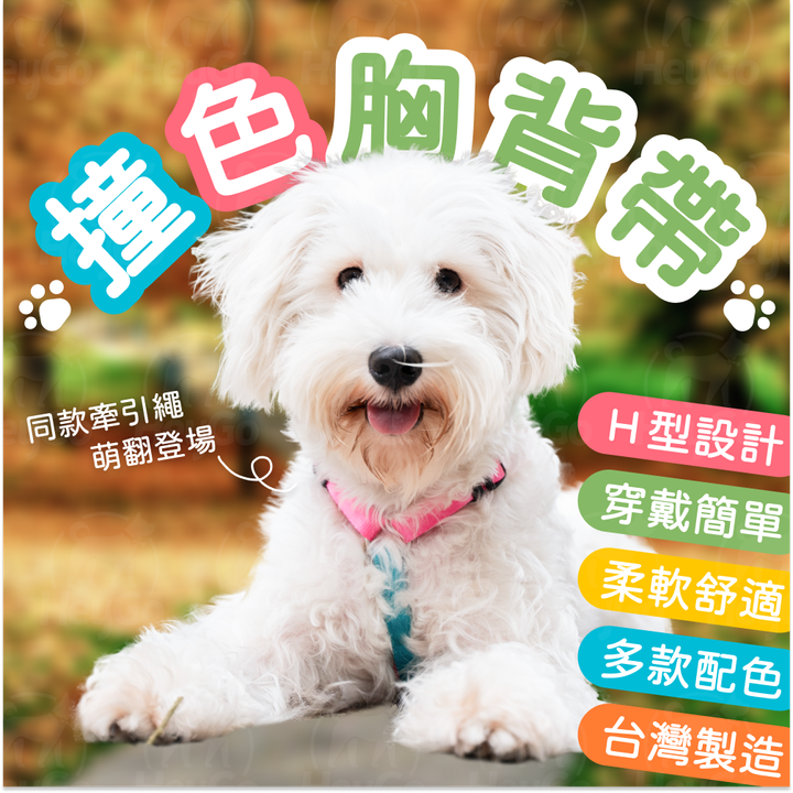 1_藍粉_H型