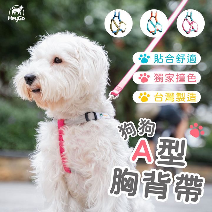 灰粉_A型_0