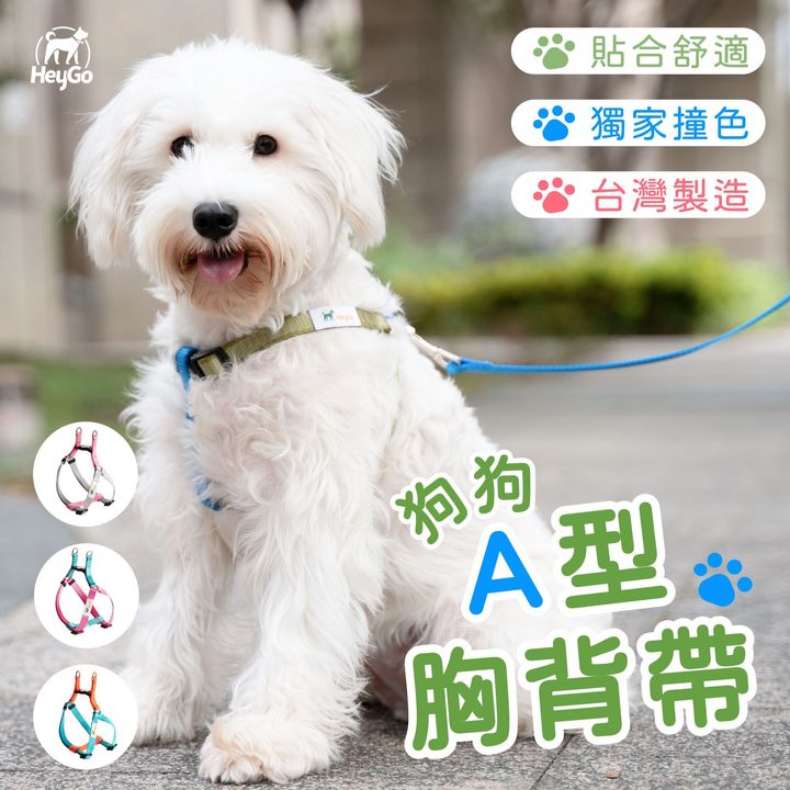 藍綠_A型_0