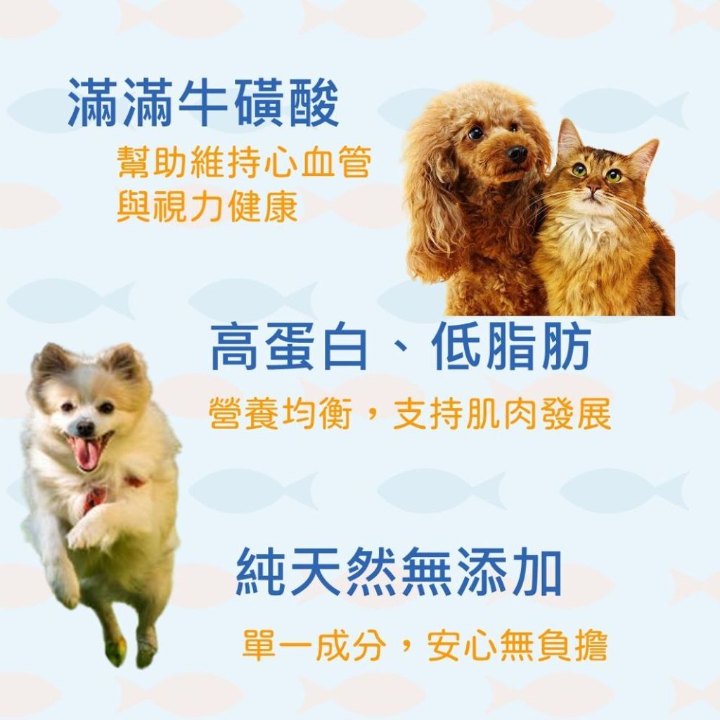 干貝2