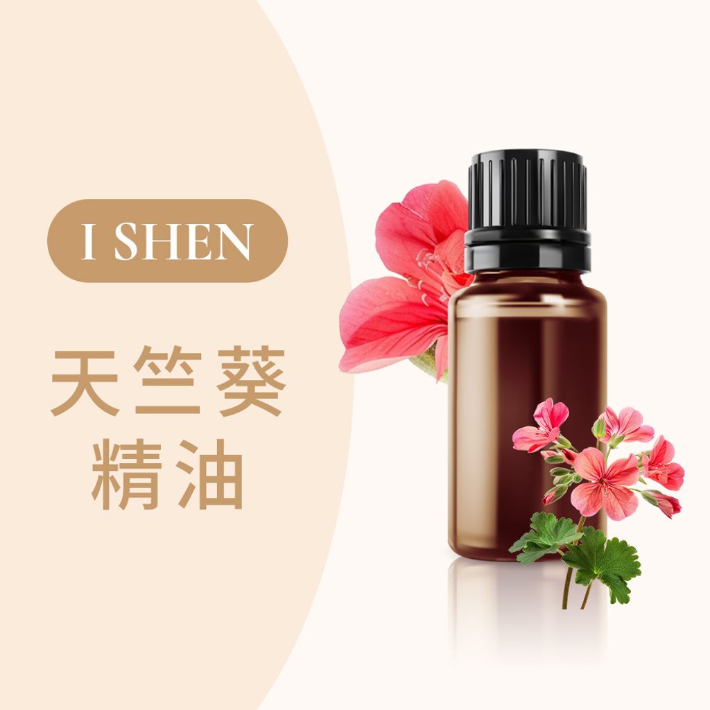 天竺葵