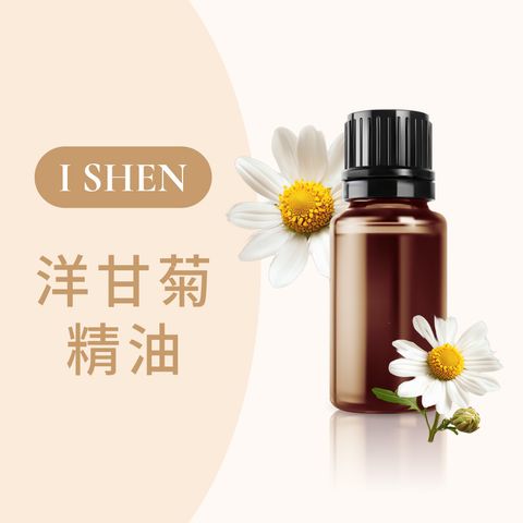 洋甘菊