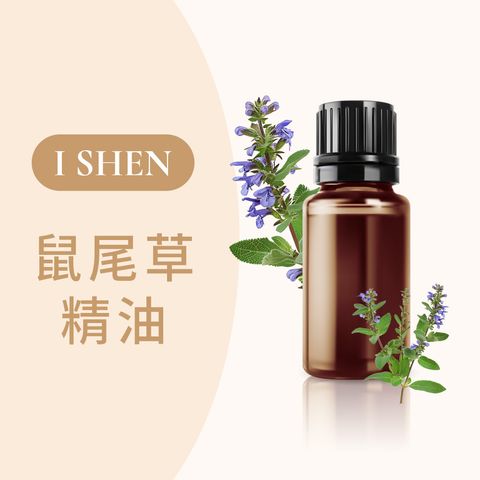 鼠尾草