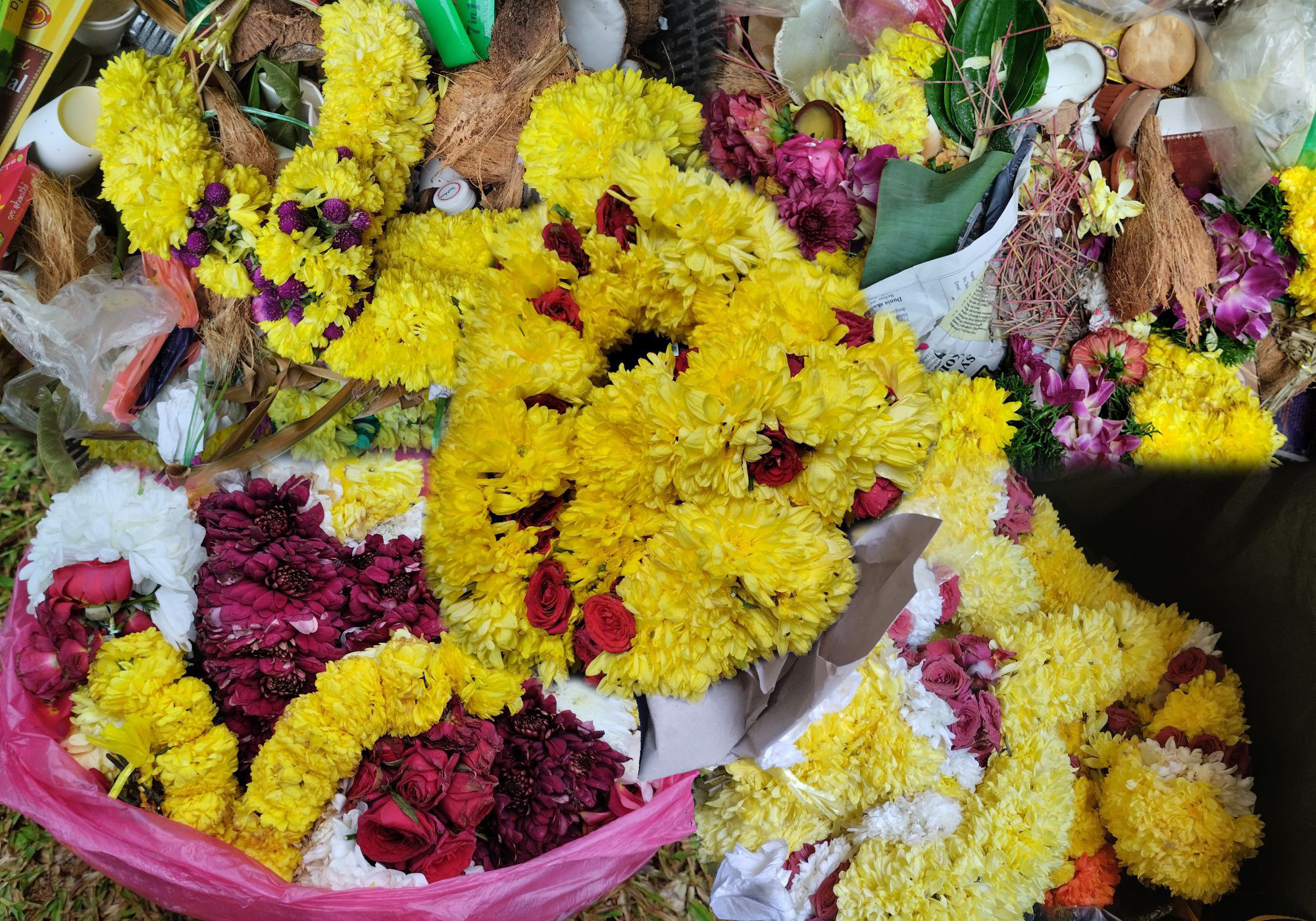 | Mahanadhi