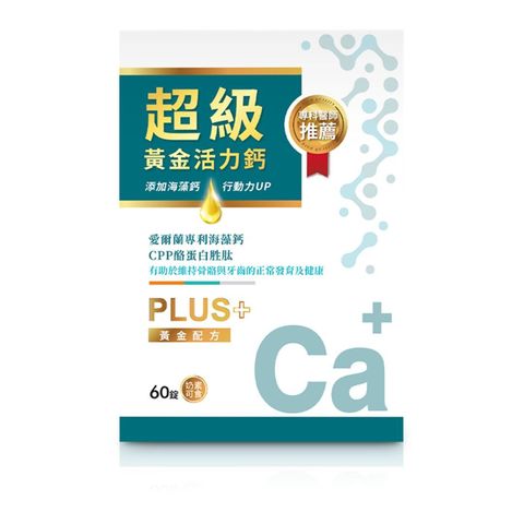 你的段落文字 (7)