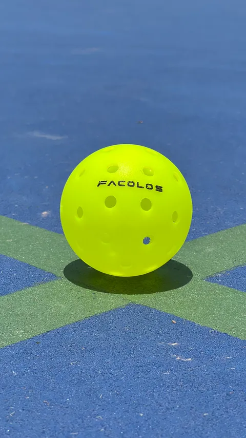 IMG_0477-1736428740866