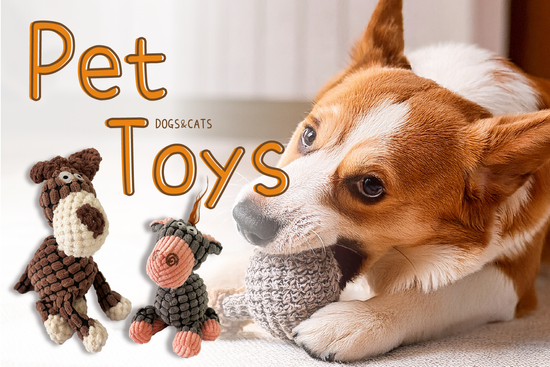 寵物陪伴玩具 | DuoDuo哆朵