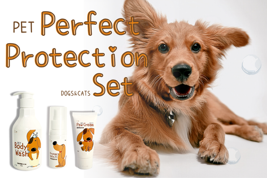 完美守護組 | DuoDuo哆朵