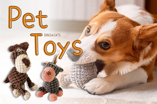 寵物陪伴玩具 | DuoDuo哆朵