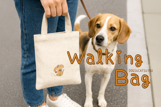 散步小包 | DuoDuo哆朵