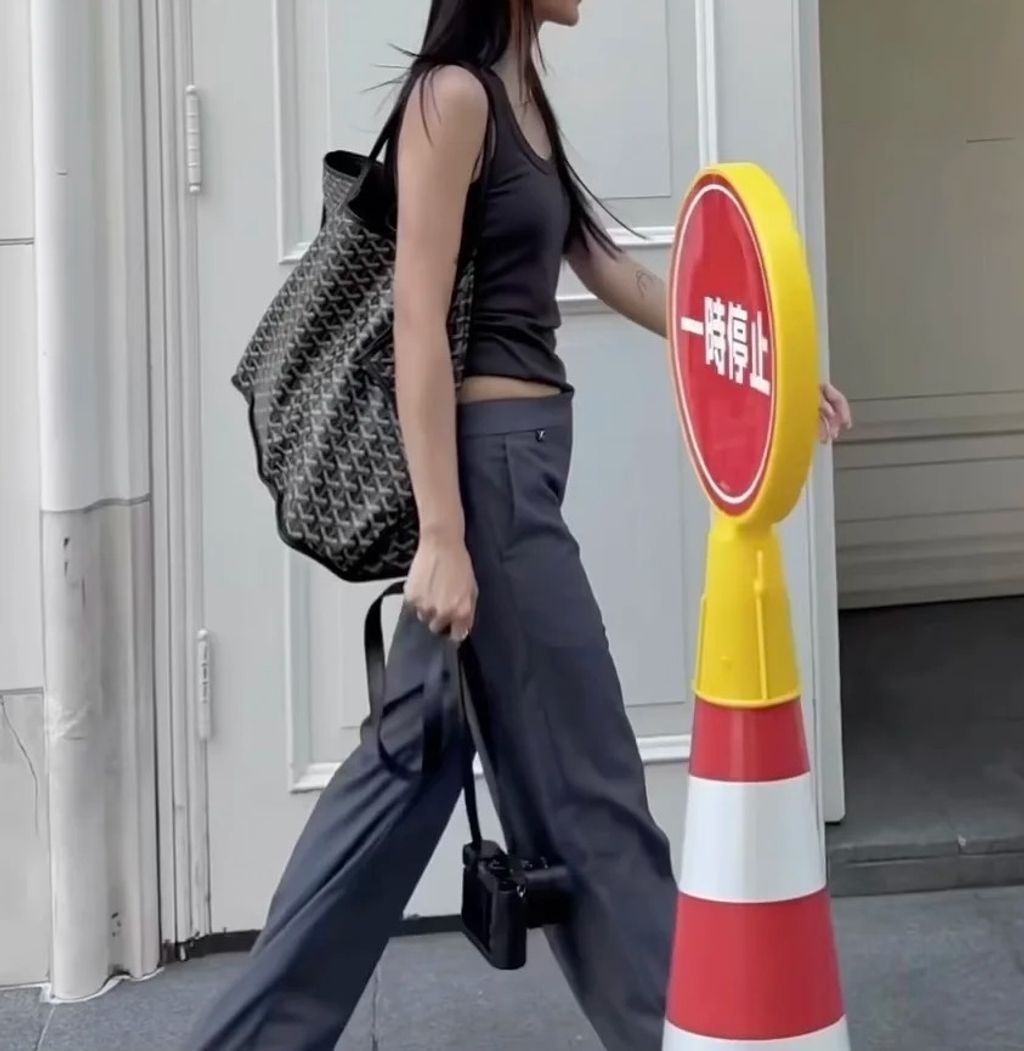 GOYARD ANJOU 雙面托特包 多色3