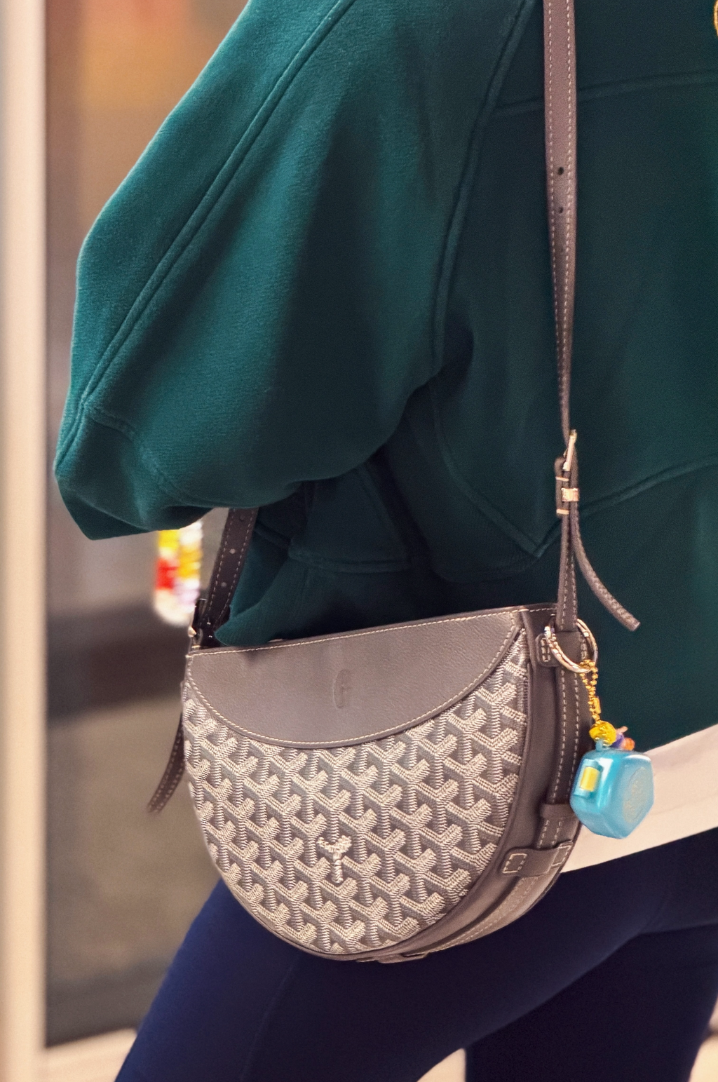 灰 GOYARD HIRONDELLE 斜背半月包 燕子包5