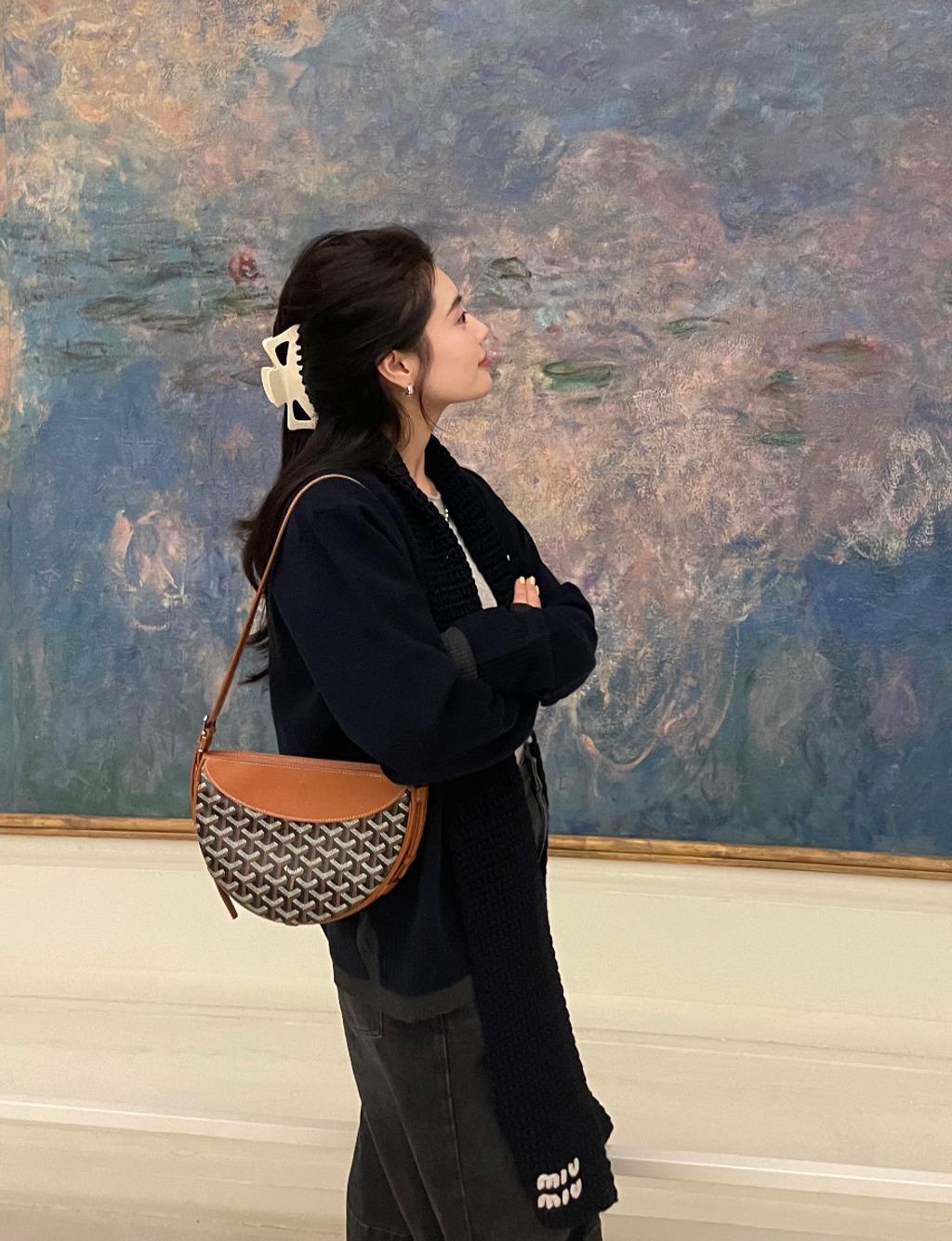 GOYARD HIRONDELLE 斜背半月包 燕子包14