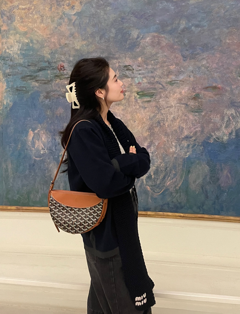 GOYARD HIRONDELLE 斜背半月包 燕子包14