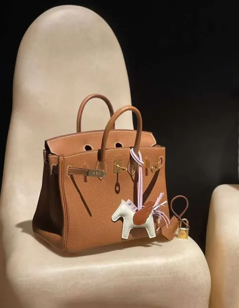 HERMES BIRKIN  TOGO皮 內縫 37金棕 金釦 鉑金包  下午4.36.17