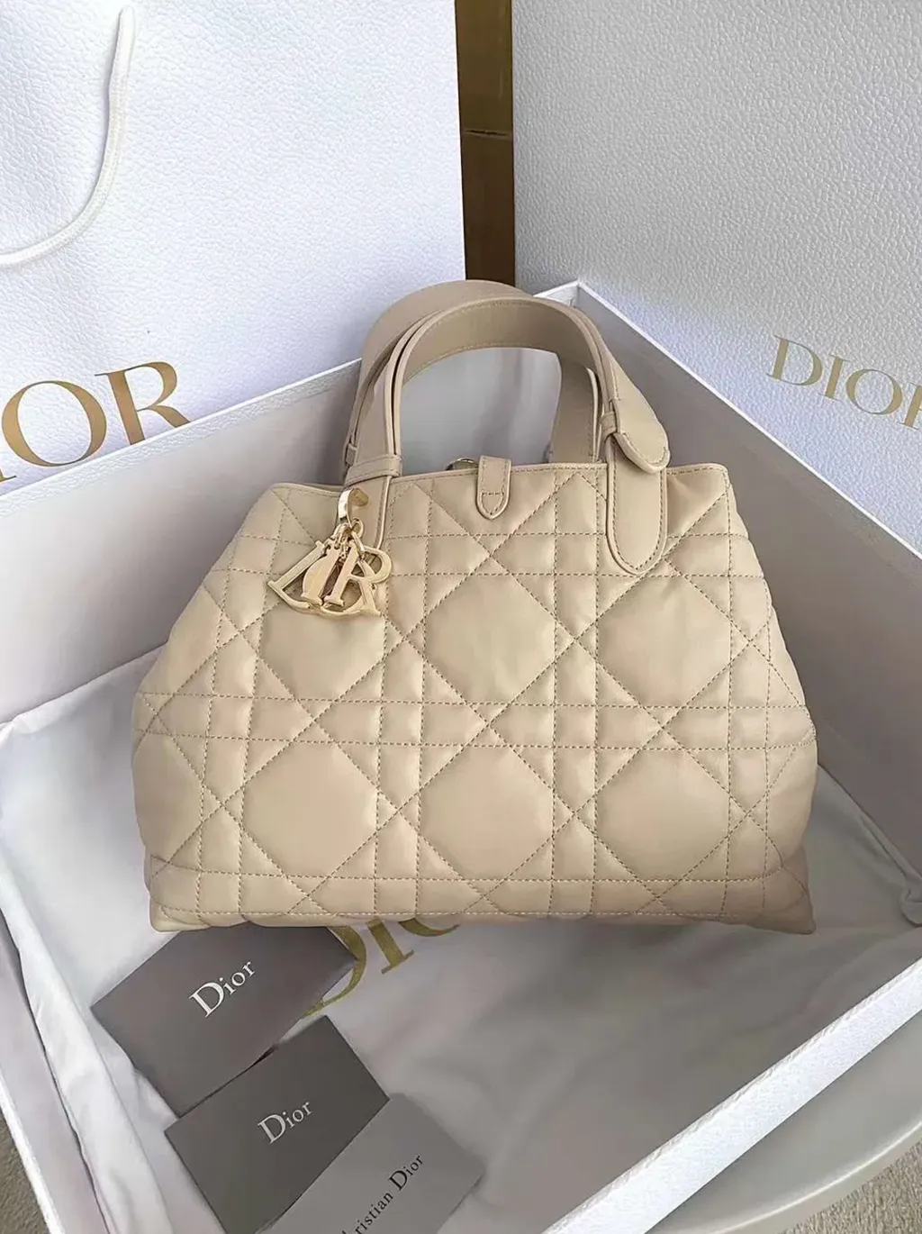 DIOR TOUJOURS 手提包 米色