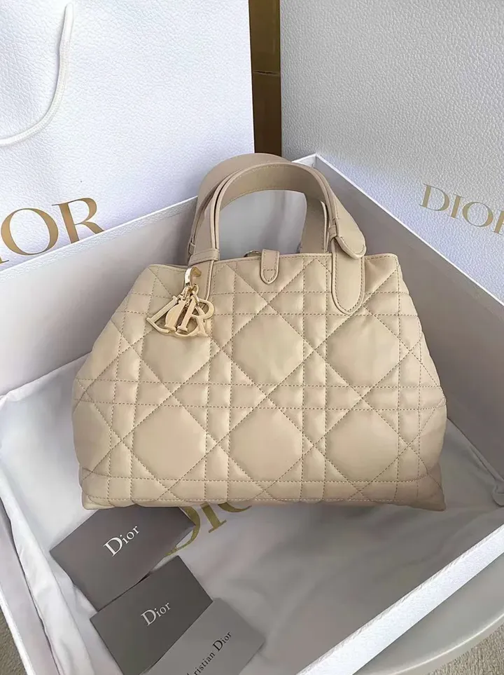 DIOR TOUJOURS 手提包 米色