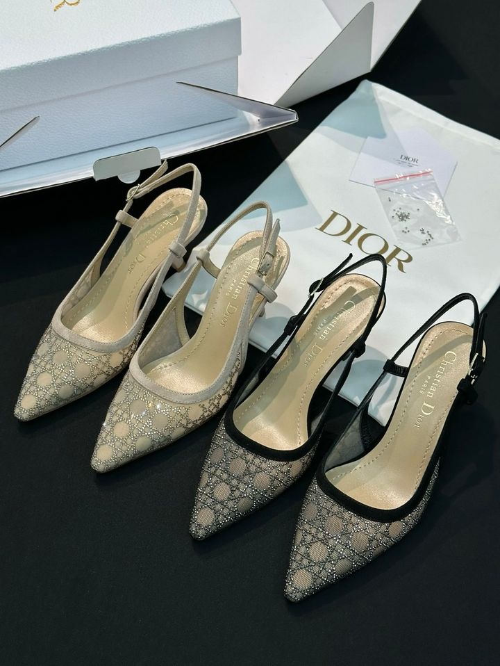 DIOR 25 CAPTURE 網紗碎鑽搭扣高跟鞋 兩色1