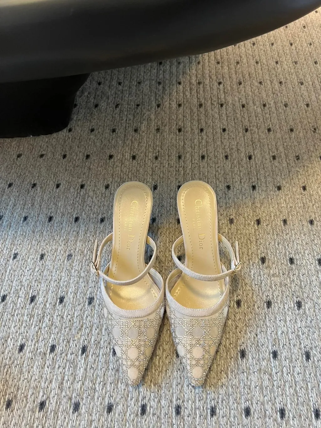 DIOR 25 CAPTURE 網紗碎鑽搭扣高跟鞋 兩色2