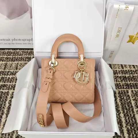 DIOR LADY 黛妃包 豆沙粉色1