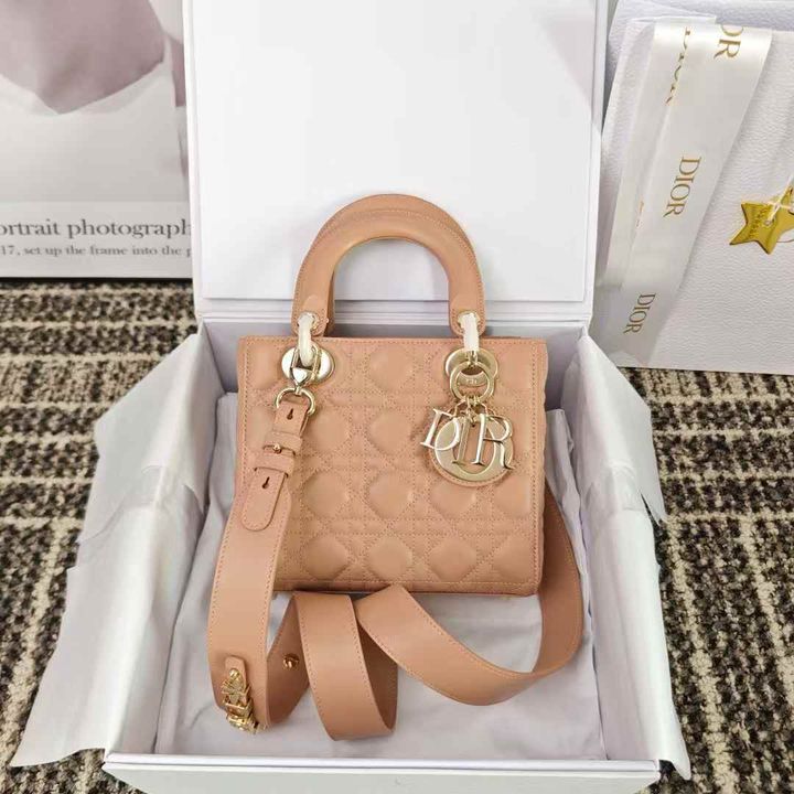 DIOR LADY 黛妃包 豆沙粉色1