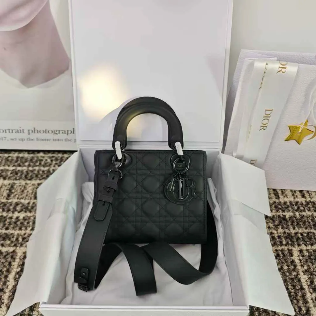 DIOR LADY6