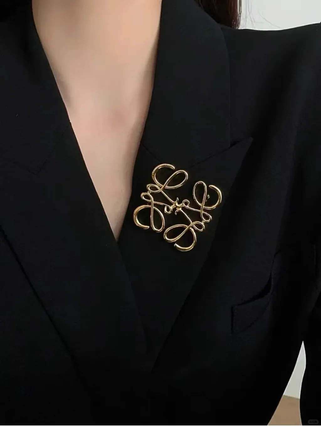 胸针这件事，你可以永远相信Loewe ～_3_YaYa🦋_来自小红书网页版