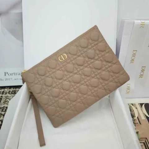  DIOR CARO DAILY 手拿包1