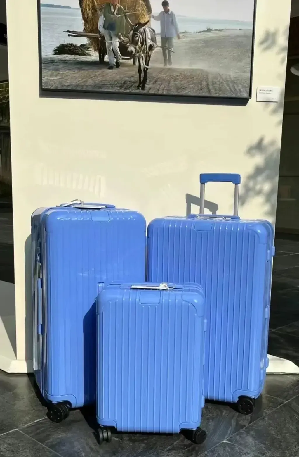 73729796