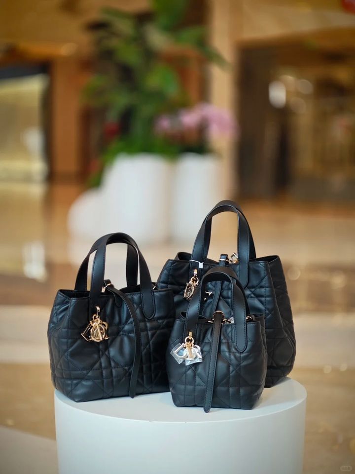 Dior竖版Toujours型号对比_4_Dior Luna🐰_来自小红书网页版