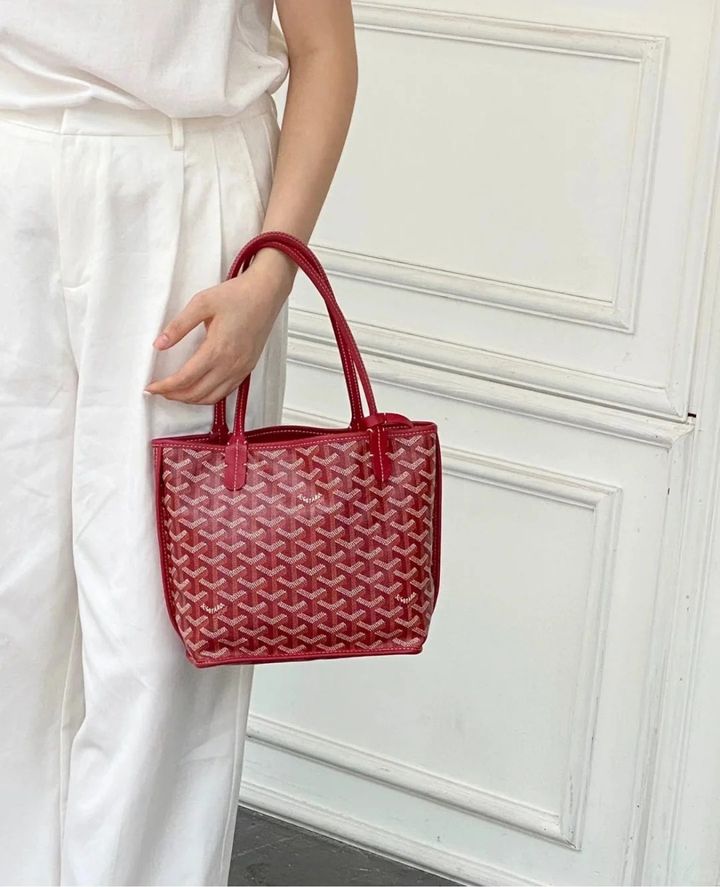 Goyard Goyard mini 简直美的不要不要~_2_小红薯66D9764F_来自小红书网页版