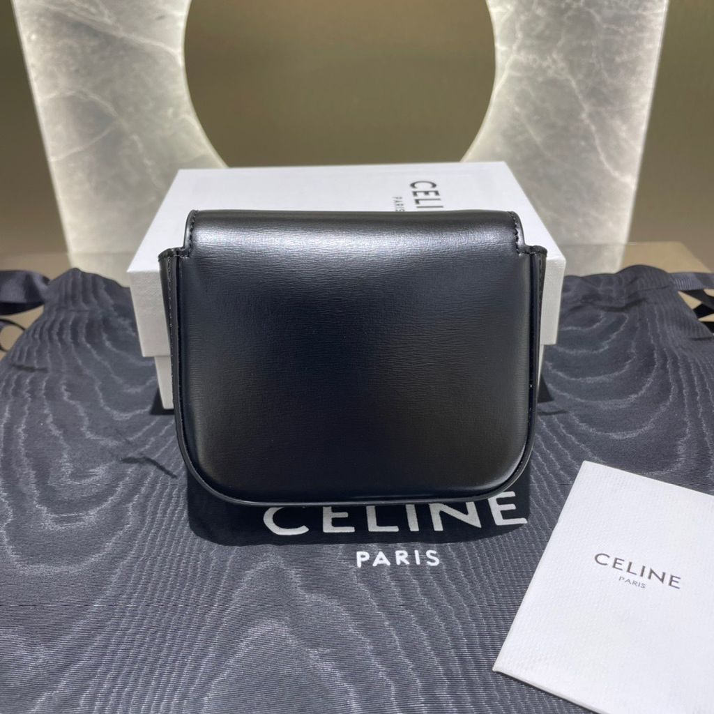 CELINE2.pic