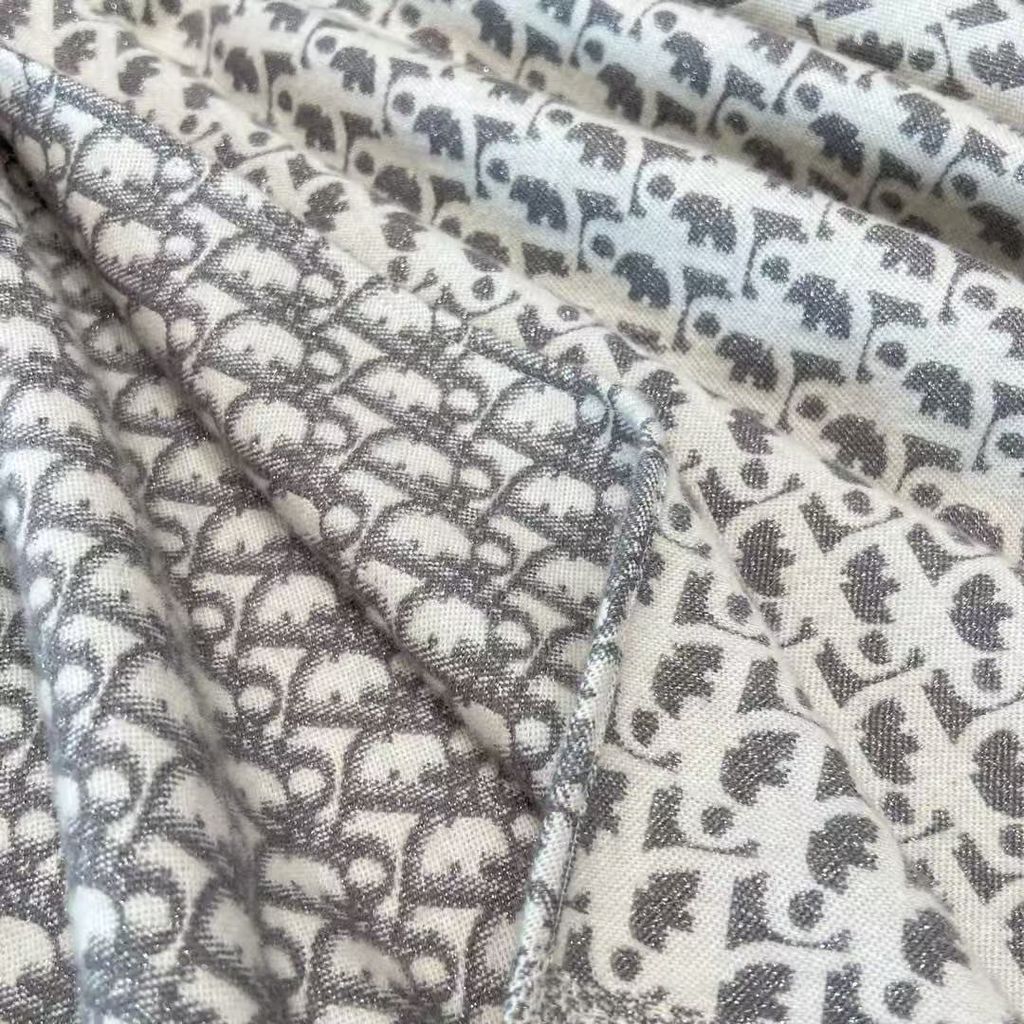 DIOR 斗篷2