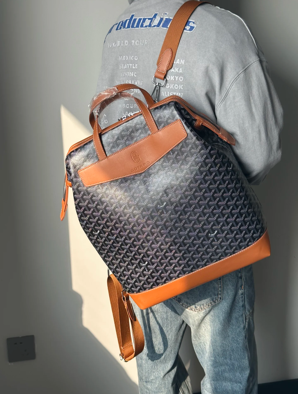 GOYARD CISALPIN 後背包3