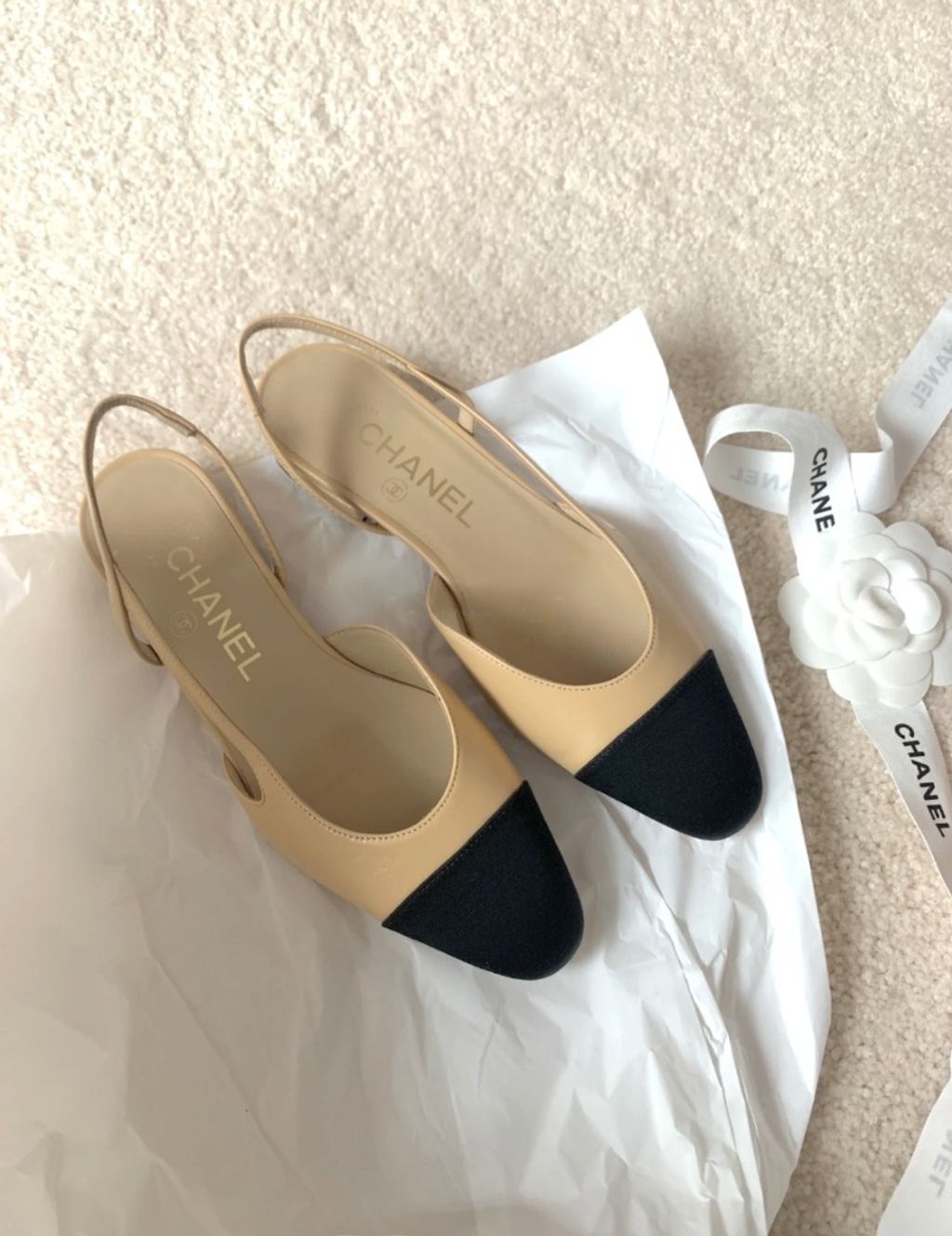 aiease_1761900883367